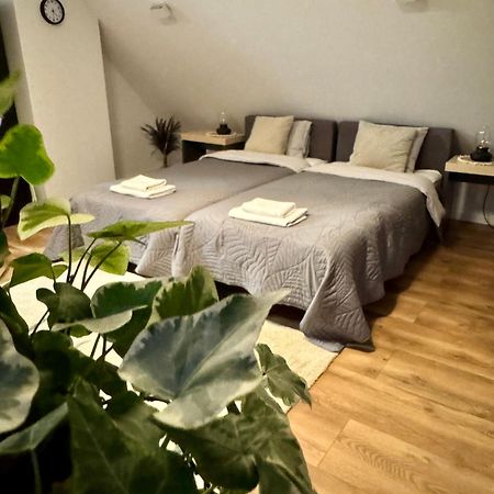 Apartamenty Astor - Ksiezycowy Щавно-Здруй Экстерьер фото